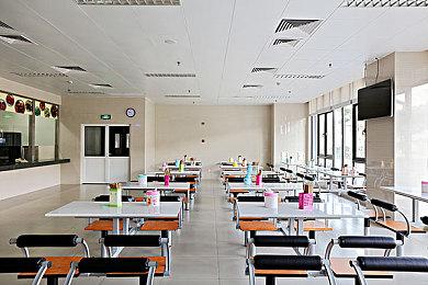 《海岛大亨6》DLC“病毒式传播” 10月12日发售